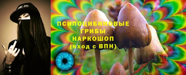 mix Алексин