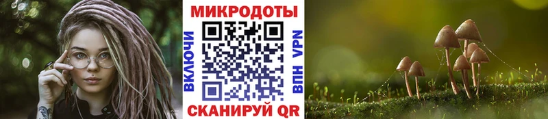 Псилоцибиновые грибы Psilocybe  Алупка 